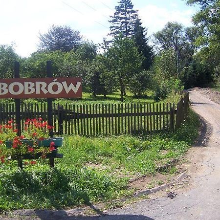 Karpnicka Struga W Dolinie Palacow I Ogrodow Jelenia Góra Buitenkant foto