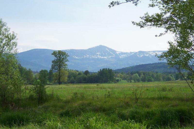 Karpnicka Struga W Dolinie Palacow I Ogrodow Jelenia Góra Buitenkant foto